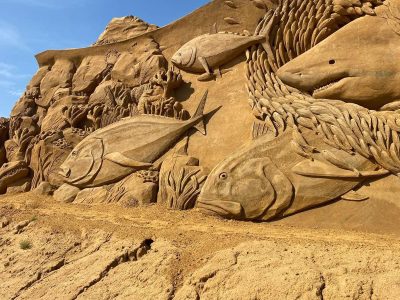 496134968_1275453007917714_7009242342694544954_n 496134968_1275453007917714_7009242342694544954_n