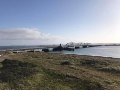 71667985_1664134390383602_2514137829169168384_n 71667985_1664134390383602_2514137829169168384_n