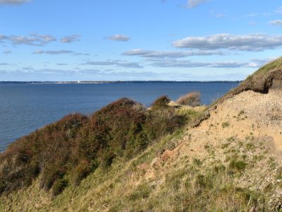 cVy3AgfmT8BgE6uWeMDohaTMhViPrDUPcwUHxEOGyFGmkdUBWT3ejGHi5lSbbsbBgOph0nU_Yb213ljMK29PNx0GXuJfjBELAhbmDUnjoYQ cVy3AgfmT8BgE6uWeMDohaTMhViPrDUPcwUHxEOGyFGmkdUBWT3ejGHi5lSbbsbBgOph0nU_Yb213ljMK29PNx0GXuJfjBELAhbmDUnjoYQ